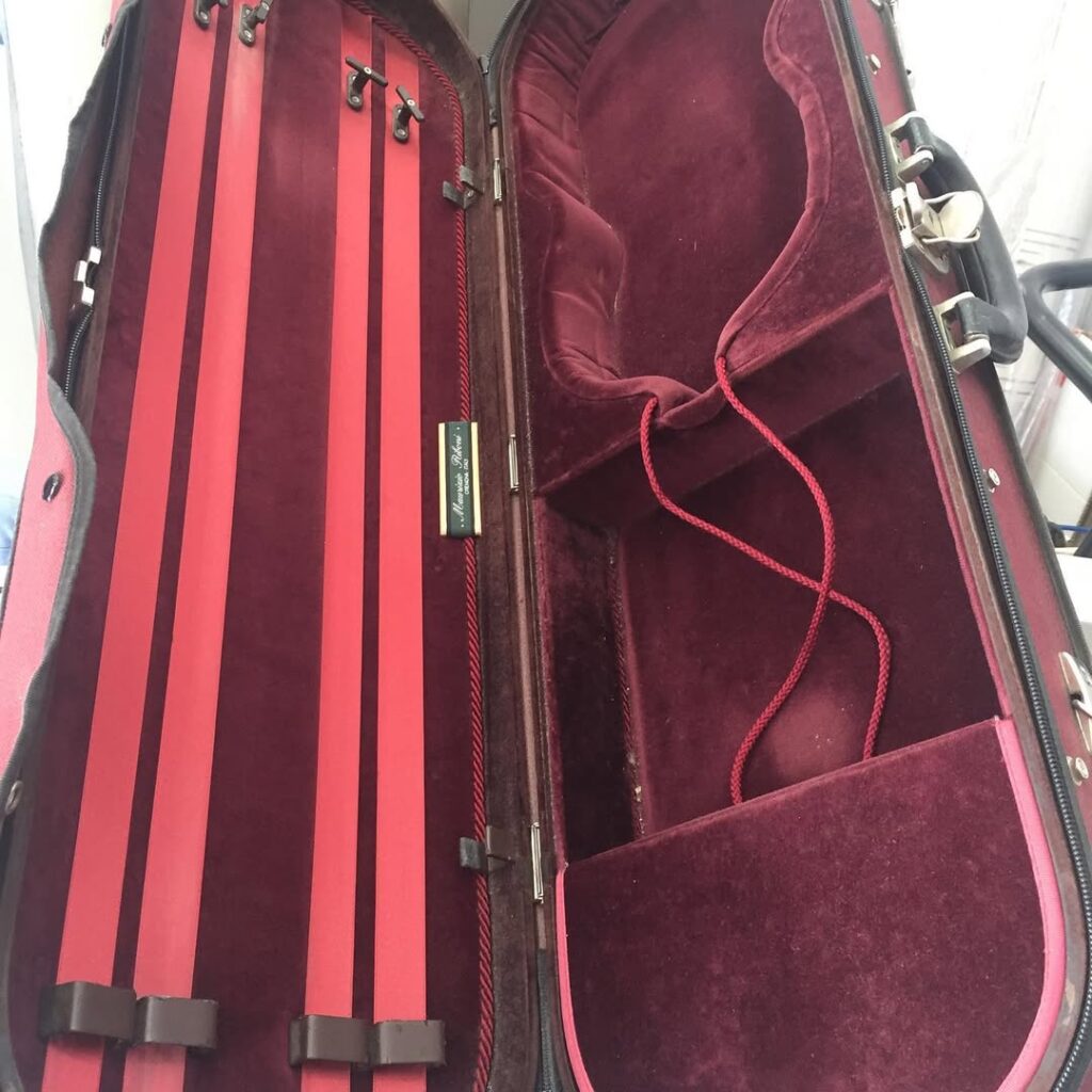 Violin case