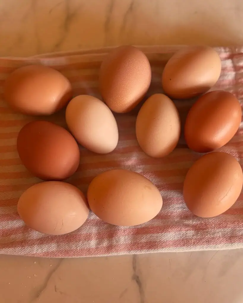 Fresh eggs