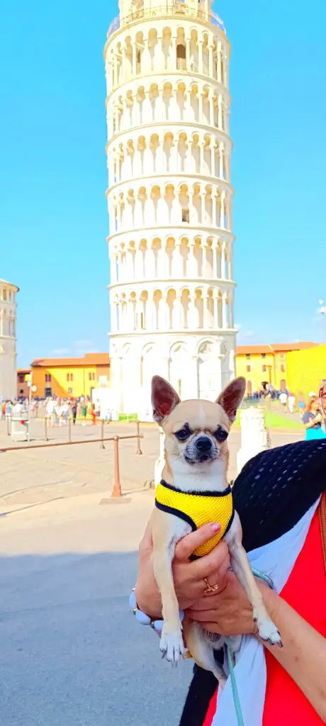 Leaning Tower of Pisa